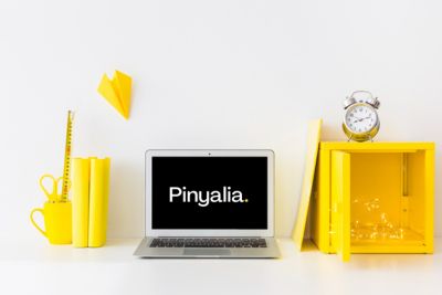 diseño-web-pinyalia